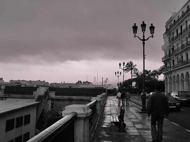 P1010002_1_2.JPG