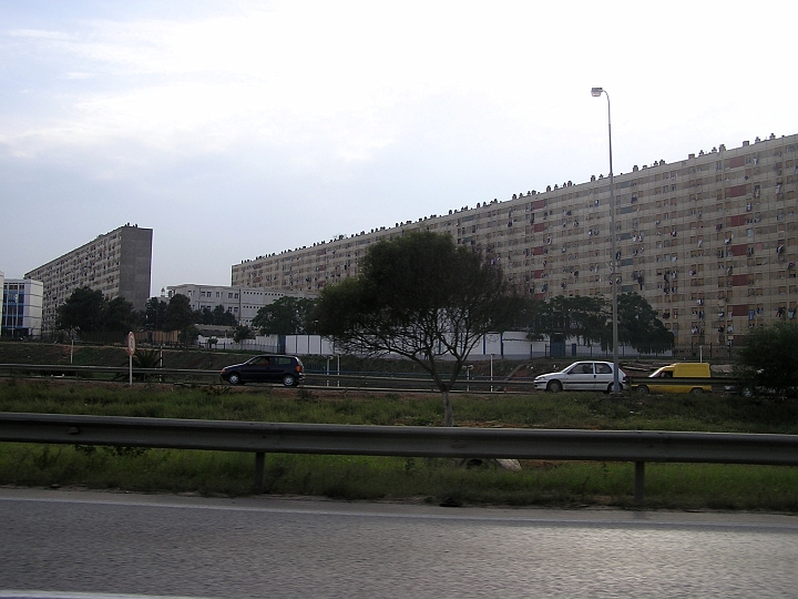 P1010028_1.JPG