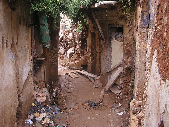 P1010063_1.JPG