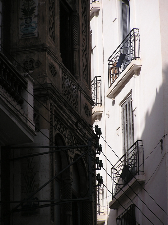 P1010085.JPG