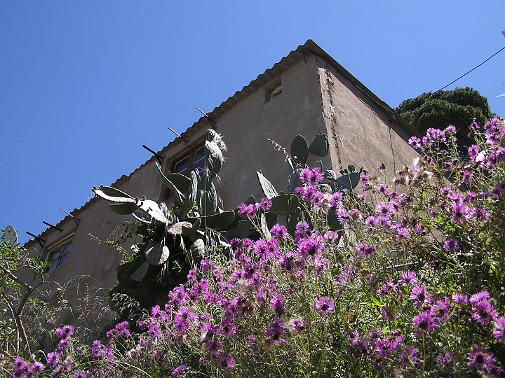 P1010115.JPG