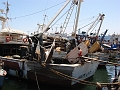DSC03351