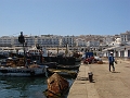 DSC03366