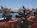 DSC03369