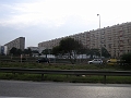 P1010028_1