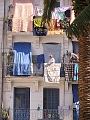 P1010038