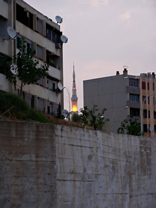 09.jpg