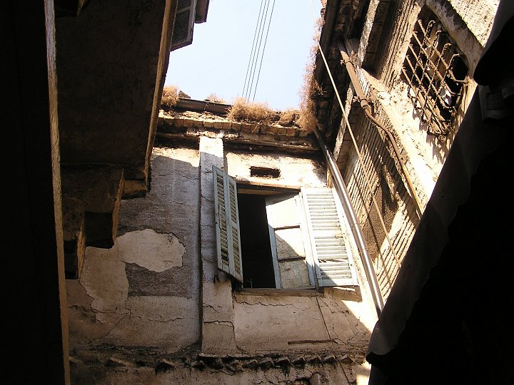 P1010005_1.JPG