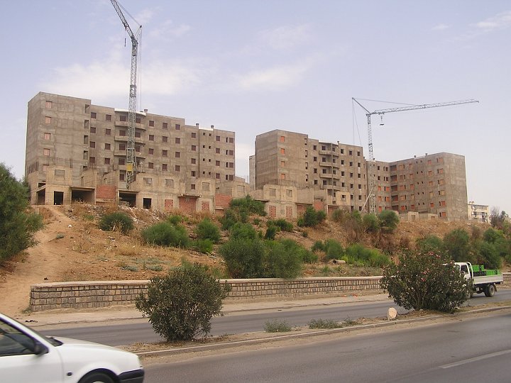 P1010008.JPG