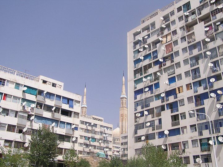 P1010013.JPG