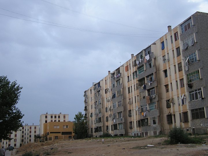 P1010078.JPG