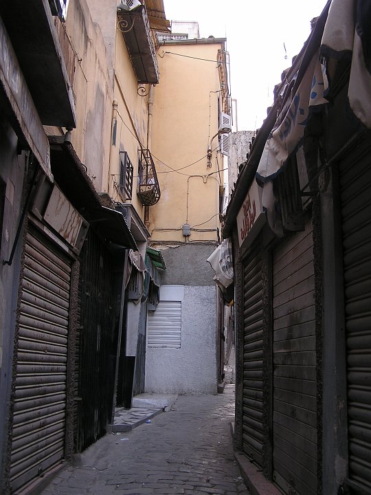 P1010113.JPG