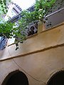 P1010126_2