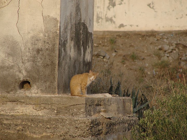 DSC02421.JPG