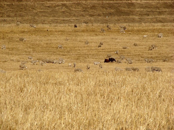 DSC02641.JPG