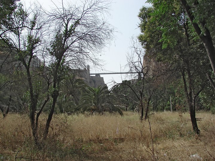 DSC02856.JPG