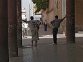 DSC01897