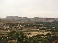 DSC02314