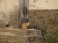 DSC02421