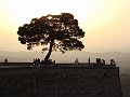 DSC02437