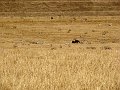 DSC02641