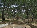 DSC02836