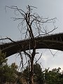 DSC02846