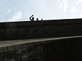 DSC02993