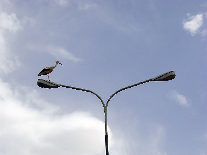 DSC01881.JPG