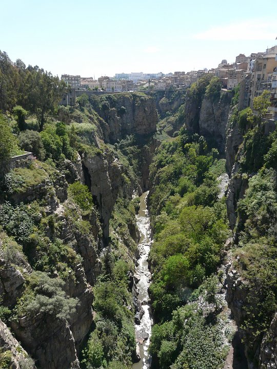P1010955.JPG