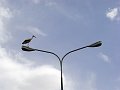 DSC01881