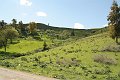 IMG_2944