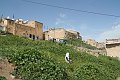 IMG_3720