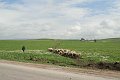 IMG_3986