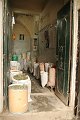 IMG_4249
