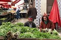 IMG_4289