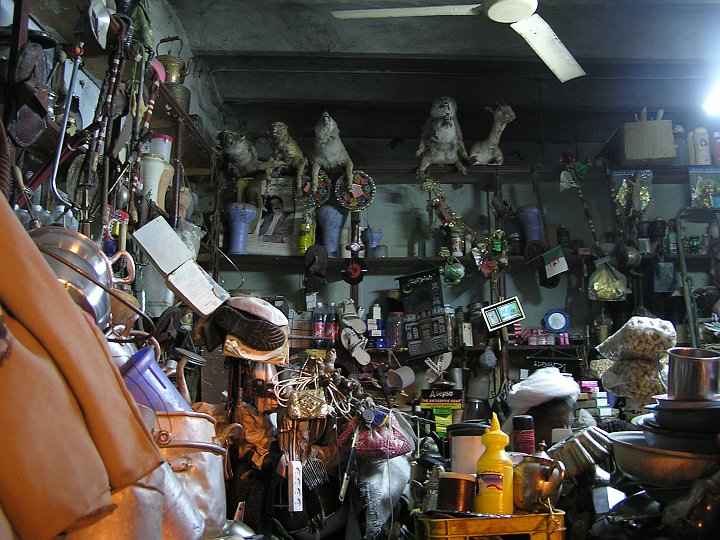 P1010035_1.JPG