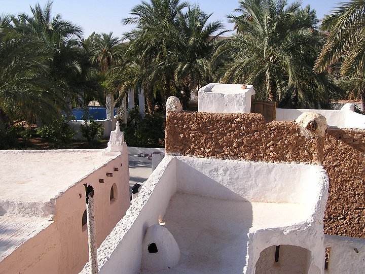 P1010044.JPG