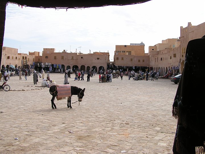P1010072a.JPG