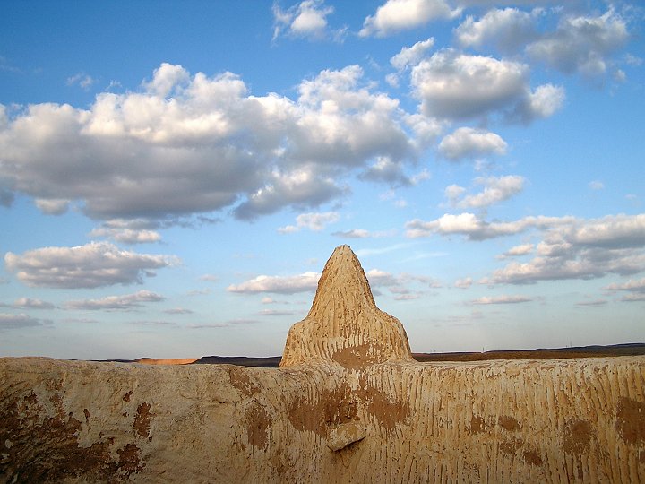 P1010174_1.JPG