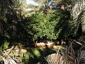 P1010032a