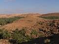 P1010039_1