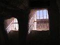 P1010116z