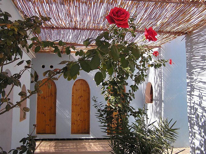 P1010032_1.JPG