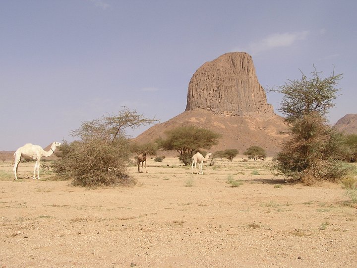 P1010049.JPG