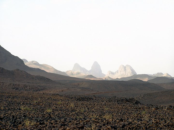 P1010108a.JPG