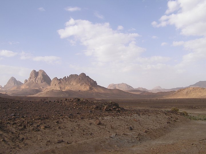 P1010117a.JPG