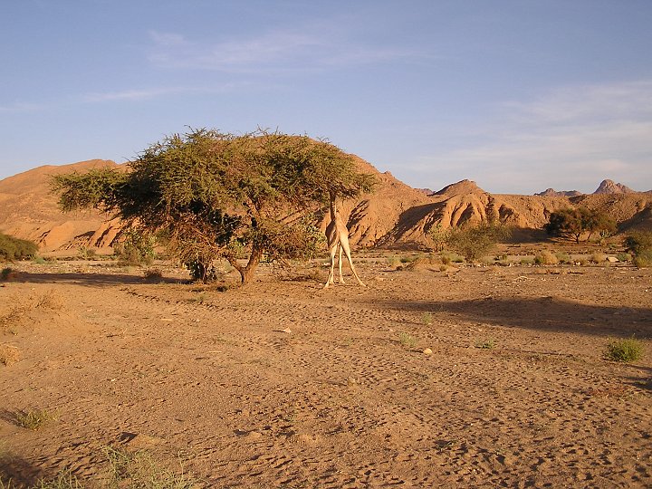 P1010168.JPG