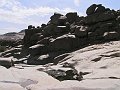 P1010107