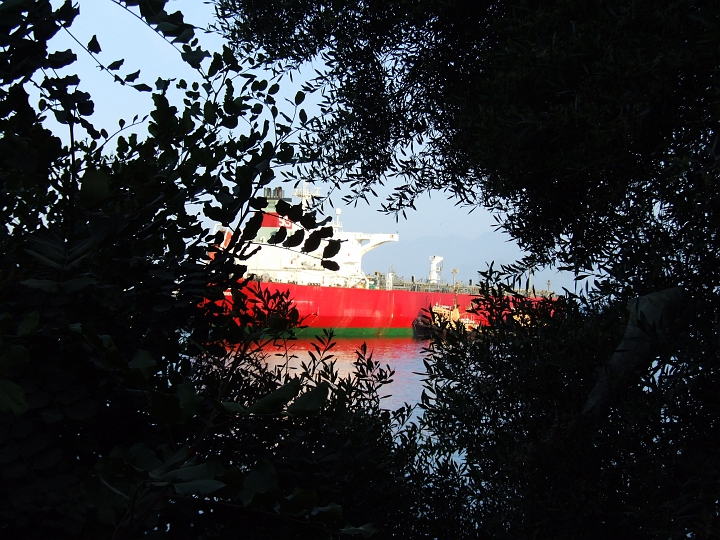 DSCF0580.JPG